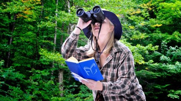 Big Year Birding Optimizer